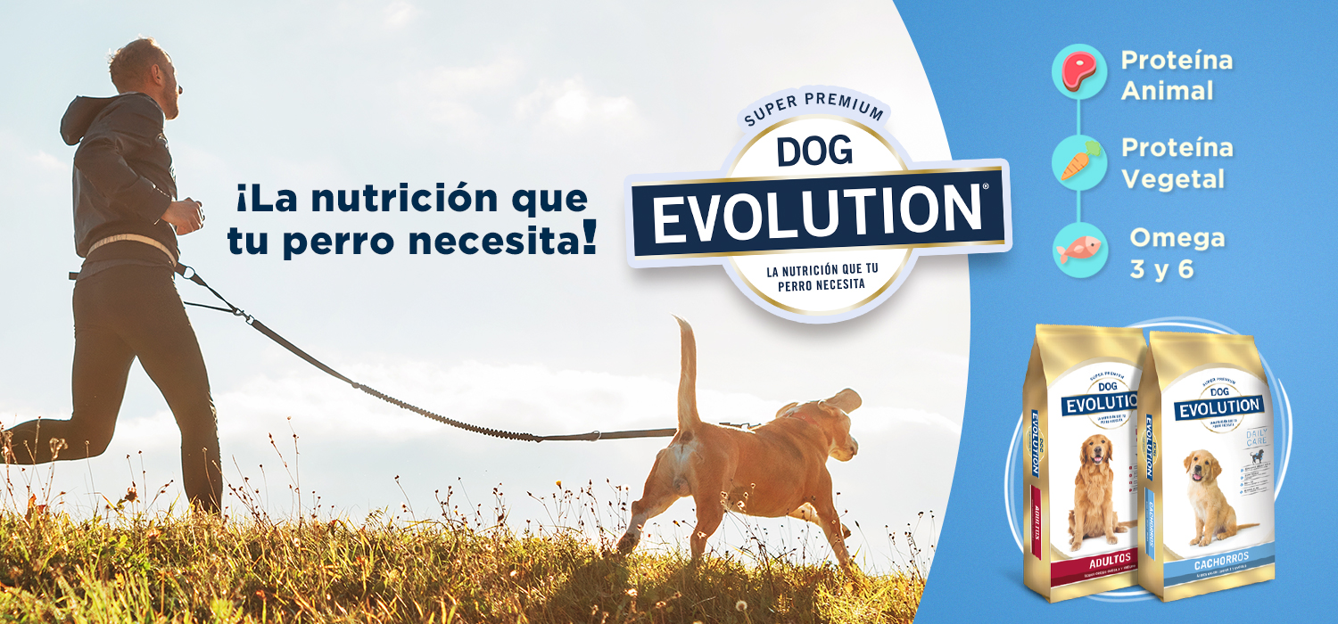 banner Dog Evolution